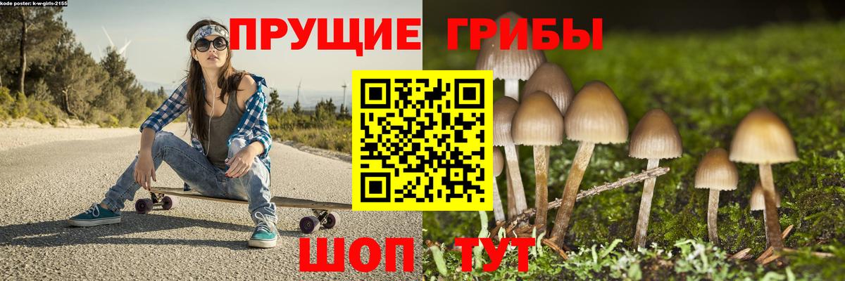 Туймазы  Галлюциногенные грибы GOLDEN TEACHER  Галлюциногенные грибы GOLDEN TEACHER  Вход с VPN 